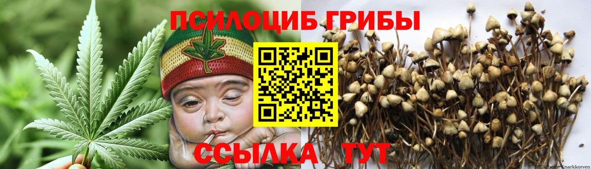 Галлюциногенные грибы Psilocybine cubensis Сегежа